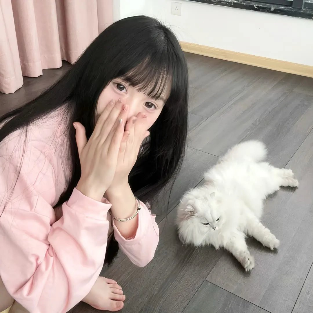 琵琶2